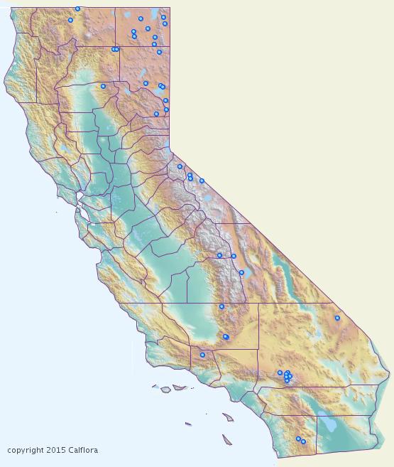 http://www.calflora.org/dmap/7060.jpg