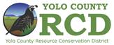 Banner Logo