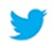 Twitter Icon